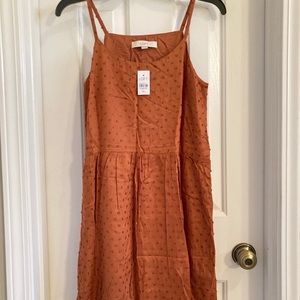 Loft Brand Swiss Dot Swing Dress